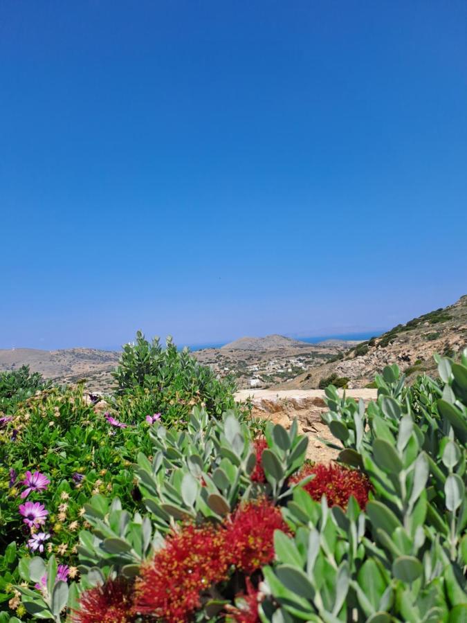 Villa Adeiata Adiata 外观 照片